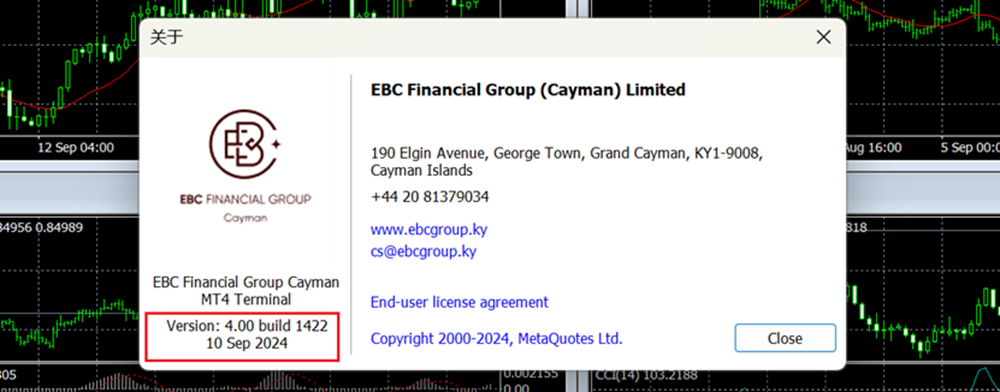 MT4电脑端版本信息窗口