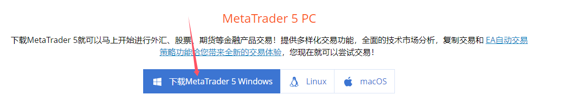 MT5电脑版下载路径