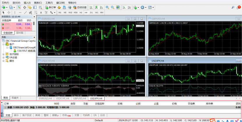 MT4终端窗口