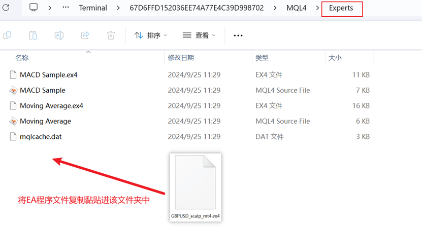 MT4 EA程序复制黏贴