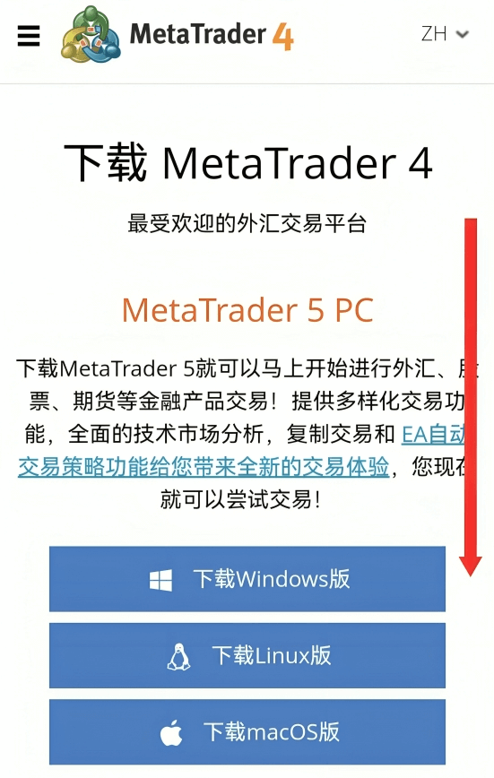 MT4手机端官网界面