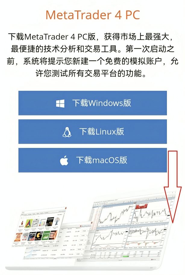 MT4手机端软件官网