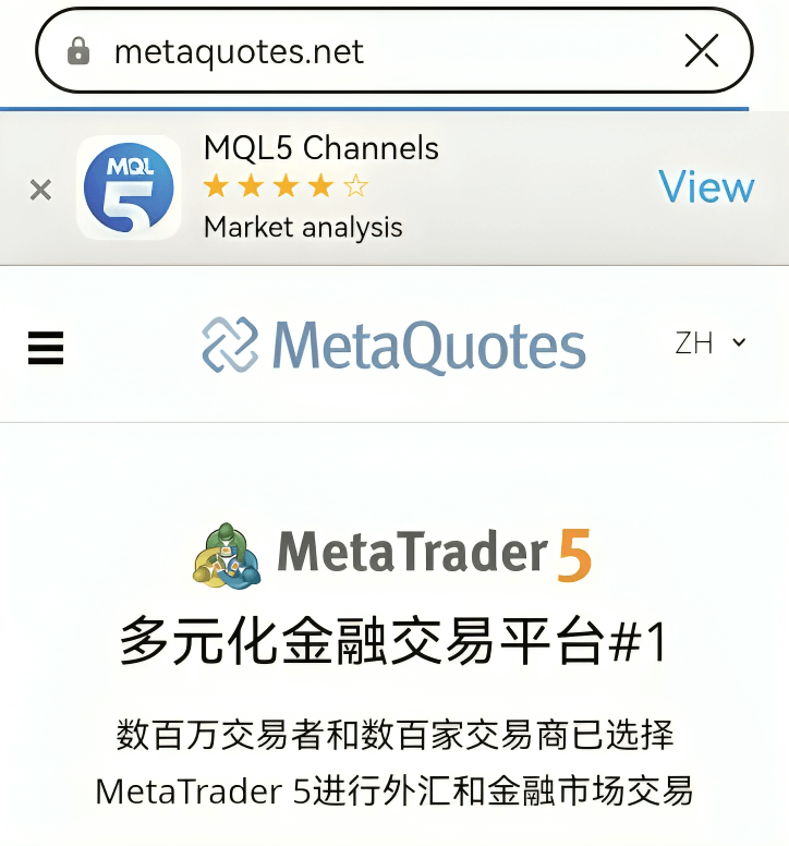 MT5苹果手机软件官网页面