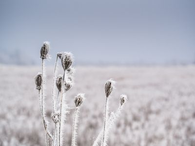 美股异动 | 芯片股集体走低 英伟达(NVDA.US)跌3.9%