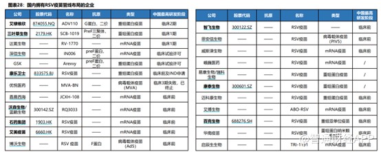 三叶草生物-B（02197）SCB-1019：潜在同类最佳，重塑全球RSV市场格局 - 图片4