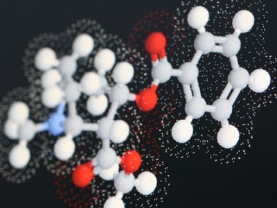 麻薩諸塞州或成合法化下一站，迷幻藥概念股迎投資良機？