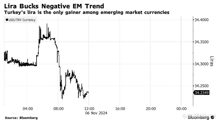 特朗普胜选引爆汇市 土耳其里拉成避风港 - 图片1