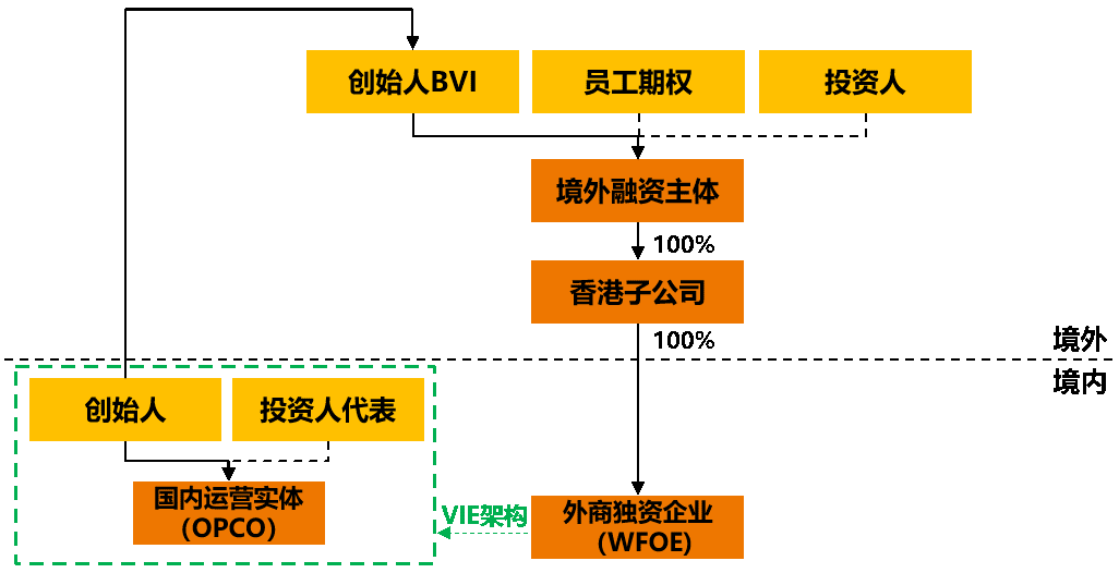 小紅籌結構(VIE結構)（VIE架構）