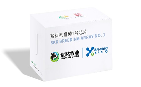 奶牛育种1号芯片在优然牧业(09858)赛科星研发成功 - 图片1