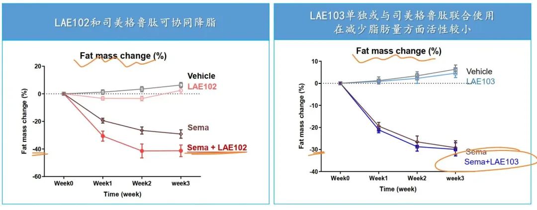 礼来(LLY.US)下双注 增肌减脂酝酿超级BD - 图片4