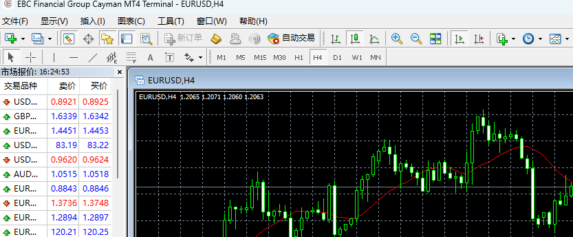 mt4電腦版成功開啟新建應用