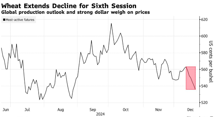 供应充足叠加美元走强 小麦价格面临6月以来最长跌势 - 图片1