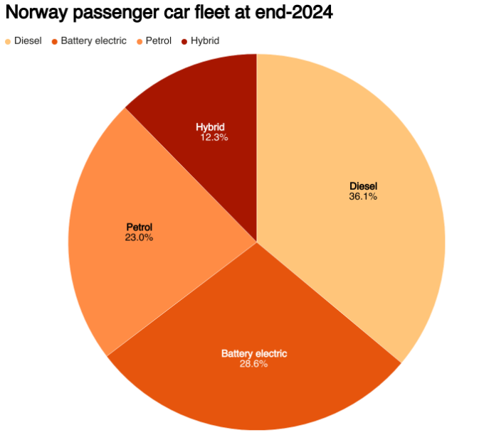 胡蘿蔔加大棒 2024年挪威純電動車滲透率近90% - 圖片3