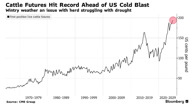 寒流衝擊供應端 美國牛肉期貨價格創歷史新高 - 圖片1
