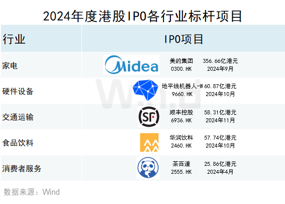 2024年度港股承销排行榜 - 图片13