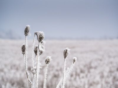 12月非農就業數據遠超預期 降息預期延後至9月