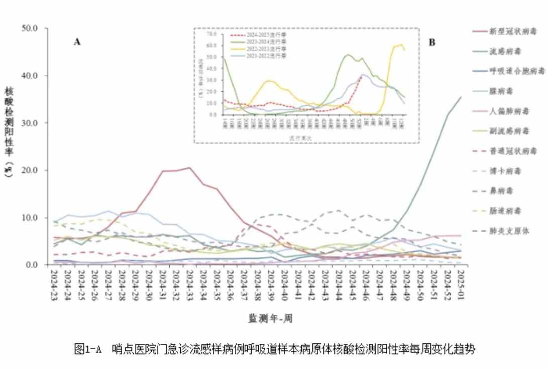 流感神藥搶購潮再現可威供應充足，東陽光長江藥業(01558)獲南向資金持續加碼 - 圖片1