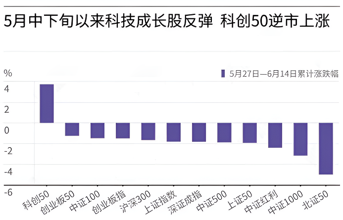 成长股