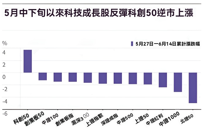 成長股