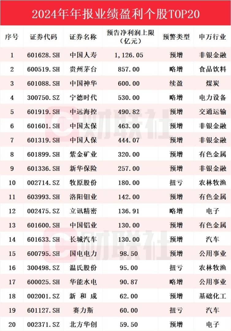 A股2024年业绩大揭秘：中国人寿豪赚千亿问鼎“盈利王”，预盈个股TOP20名单来了 - 图片1