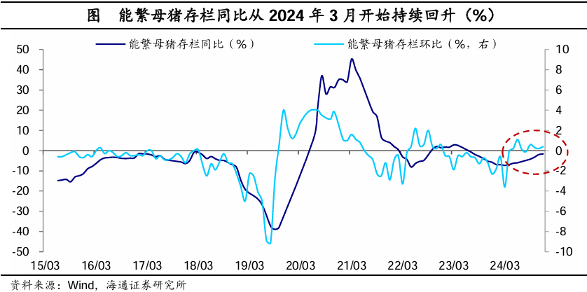 海通證券2025年1月物價數據點評：“春節錯位”下的CPI反彈 - 圖片3