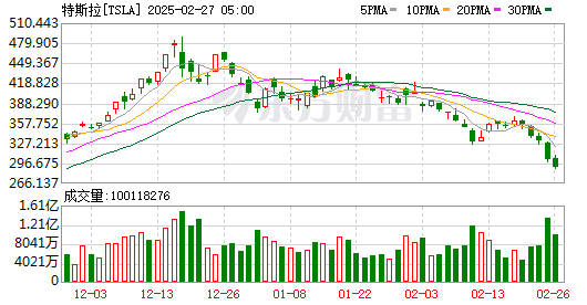 特斯拉股价2025-02-27数据