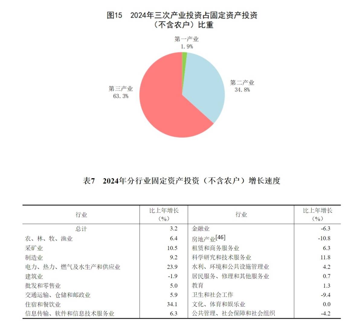 國家統計局：2024年國內生產總值比上年增長5.0% - 圖片18